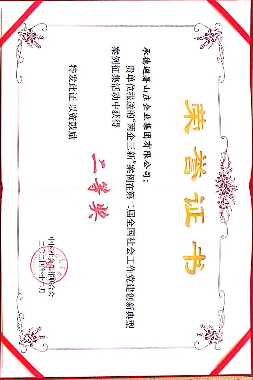 全国第二届社会工作党建创新案例二等奖